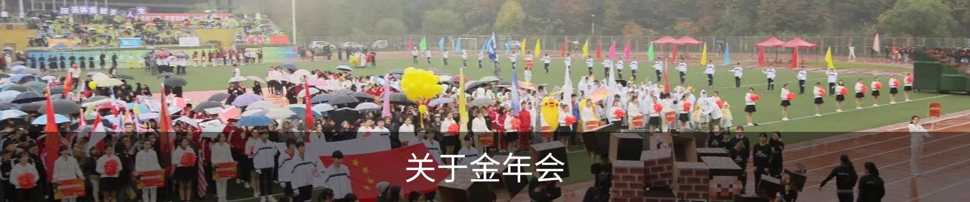 关于金年会